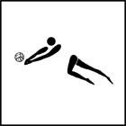 Volleyball